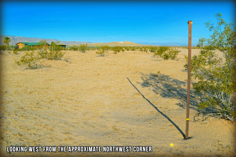 Mojave Road